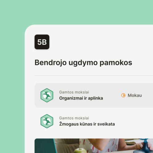 ka-gausite-programoje